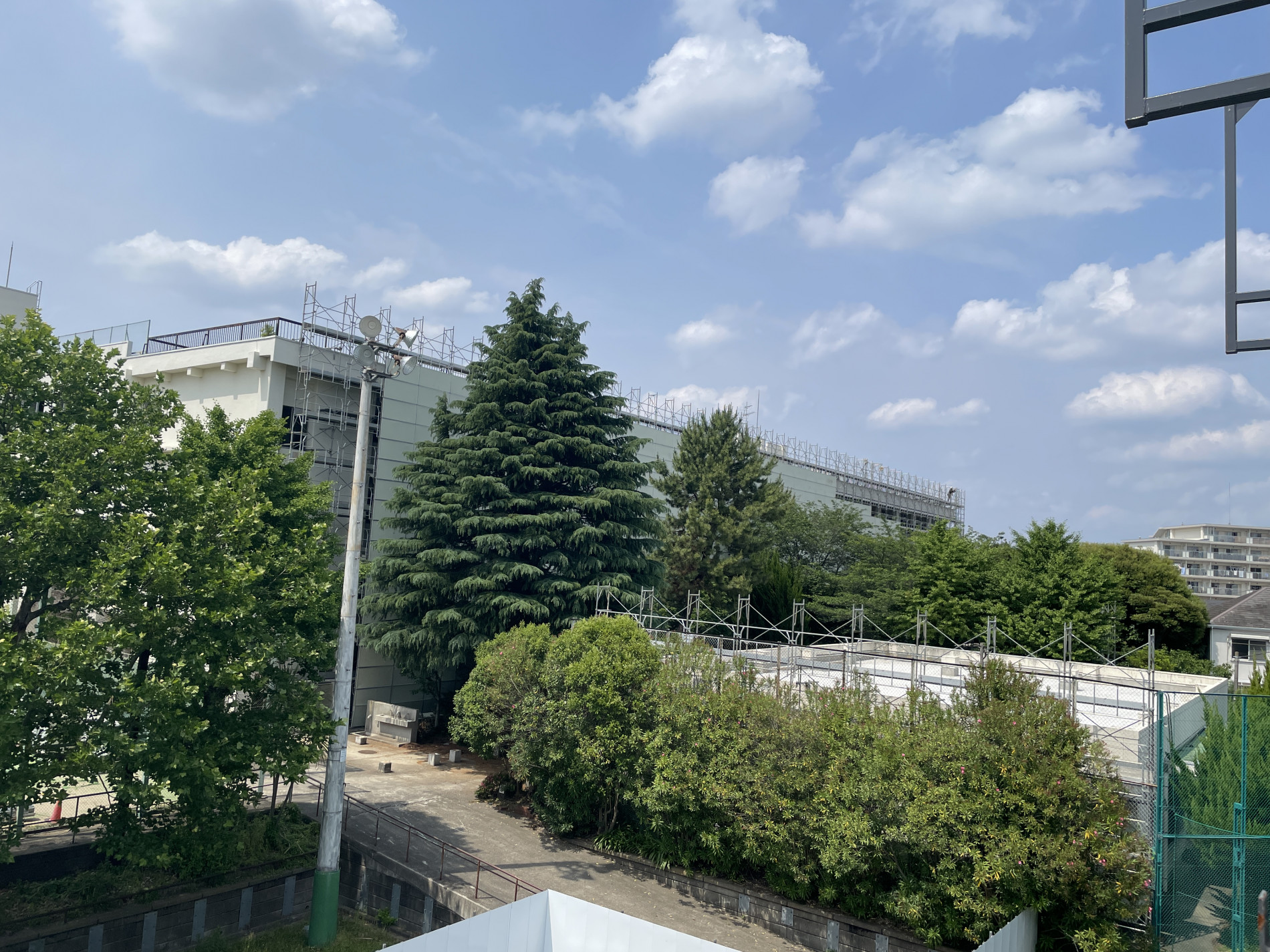 画像 -20230522-041925-a0eaa871